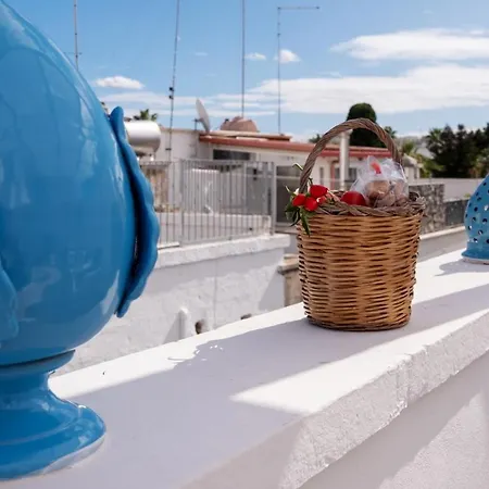 Dama Bianca Boutique